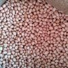 Peanut Exporters, Wholesaler & Manufacturer | Globaltradeplaza.com