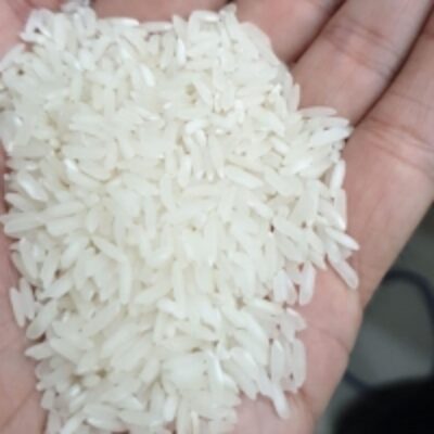 resources of Irri-6 Rice exporters