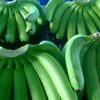 Cavendish Banana Exporters, Wholesaler & Manufacturer | Globaltradeplaza.com