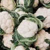 Cauliflower Exporters, Wholesaler & Manufacturer | Globaltradeplaza.com