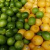 Lime Exporters, Wholesaler & Manufacturer | Globaltradeplaza.com