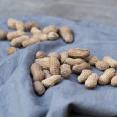 resources of Groundnuts exporters