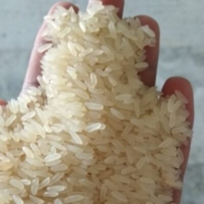 resources of Rice exporters