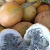 Passion Fruits Exporters, Wholesaler & Manufacturer | Globaltradeplaza.com
