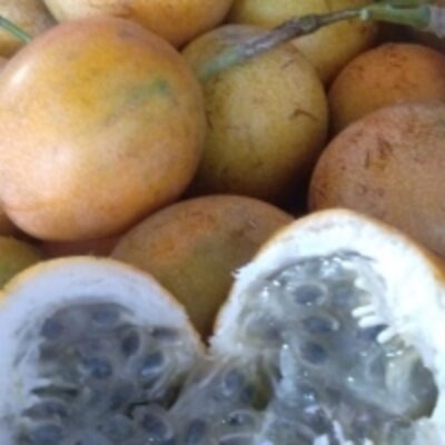 resources of Passion Fruits exporters