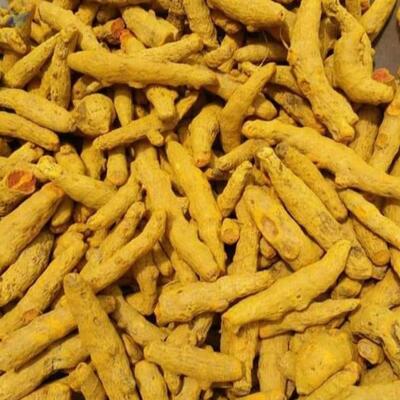 resources of Turmeric exporters