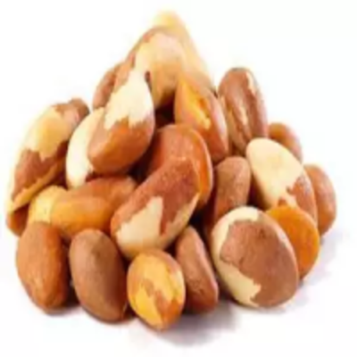 Brazil Nuts Wholesale Exporters, Wholesaler & Manufacturer | Globaltradeplaza.com
