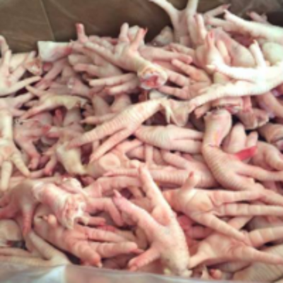 Frozen Chicken Feet &amp; Paws Exporters, Wholesaler & Manufacturer | Globaltradeplaza.com
