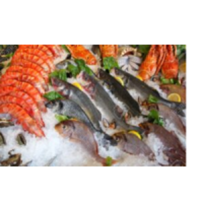 Frozen Seafood Exporters, Wholesaler & Manufacturer | Globaltradeplaza.com
