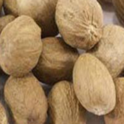 Whole Nutmeg Exporters, Wholesaler & Manufacturer | Globaltradeplaza.com