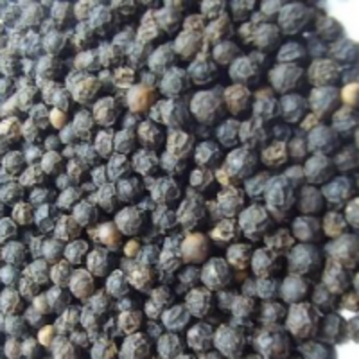 Black Pepper Seeds Exporters, Wholesaler & Manufacturer | Globaltradeplaza.com