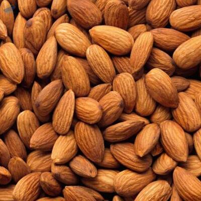 resources of Almond Nuts exporters