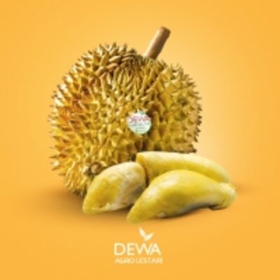 Durian Exporters, Wholesaler & Manufacturer | Globaltradeplaza.com