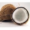 Semi Husk Coconut Exporters, Wholesaler & Manufacturer | Globaltradeplaza.com