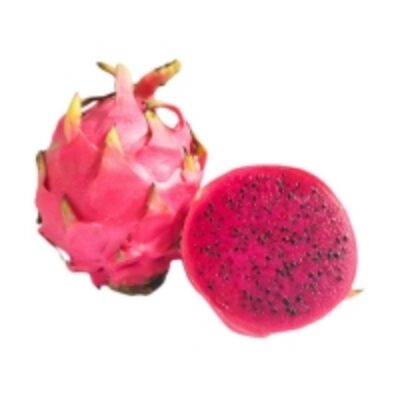 resources of Red Dragon Fruit exporters