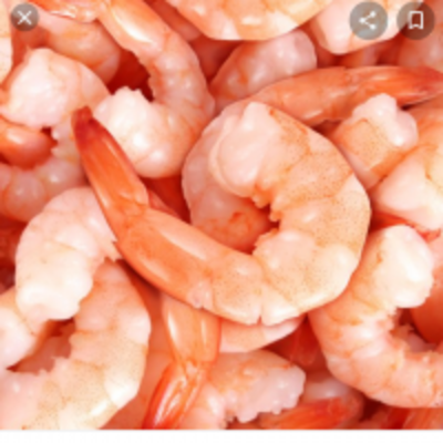 resources of Shrimp Ecuador exporters