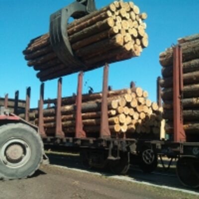 resources of Europe Spruce/pine/fir Logs exporters