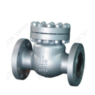 resources of Cast Steel Check Valves Bolted Bonne exporters