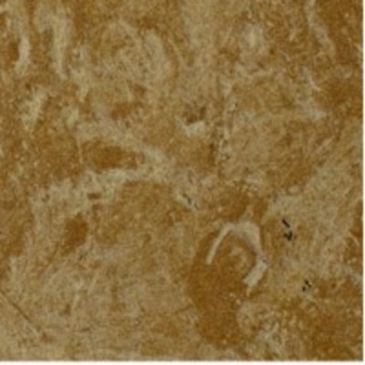 resources of Yellow Flower Polished &amp; Brushed Sandstone exporters
