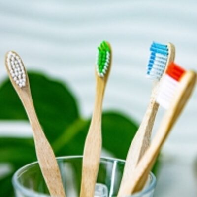 resources of Bamboo Toothbrush exporters