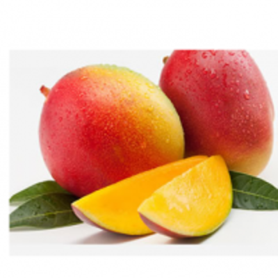 resources of Apple Mango exporters