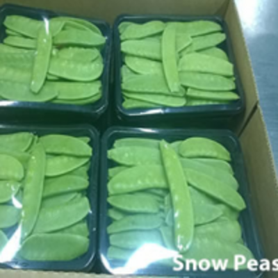 resources of Snow Peas exporters