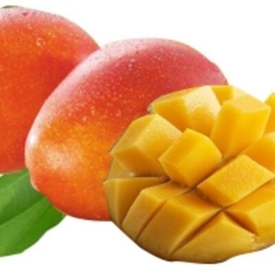 resources of Fresh Mango exporters
