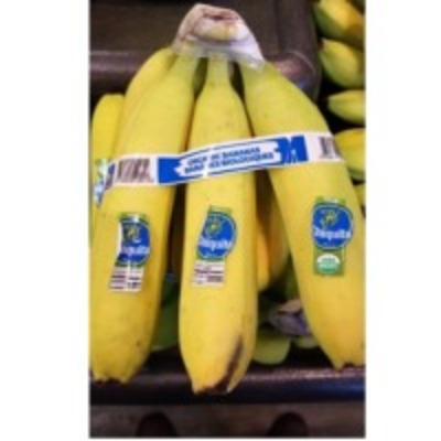 resources of Cavendish Banana exporters