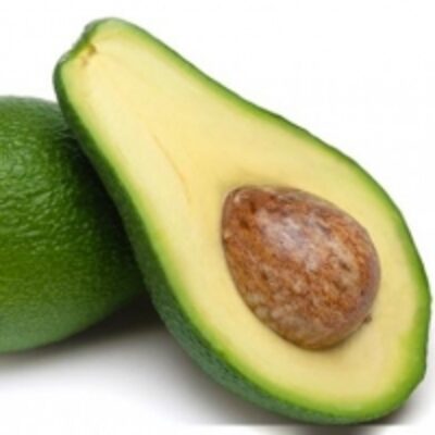 resources of Avocado (Avokad) exporters