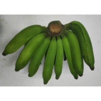 resources of Cooking Banana Variant "pisang Nangka" exporters