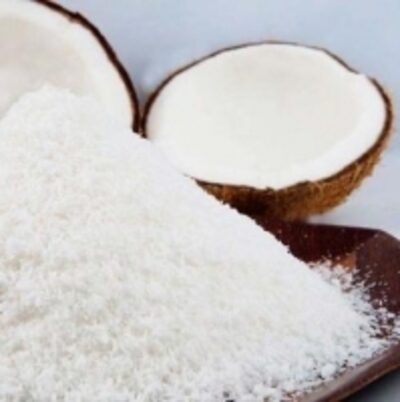 resources of Dessicated Coconut Powder exporters