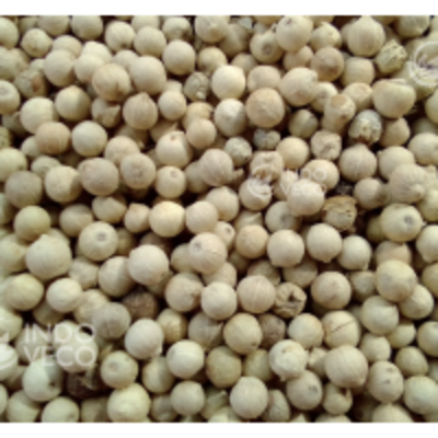 resources of Muntok White Pepper Corn exporters