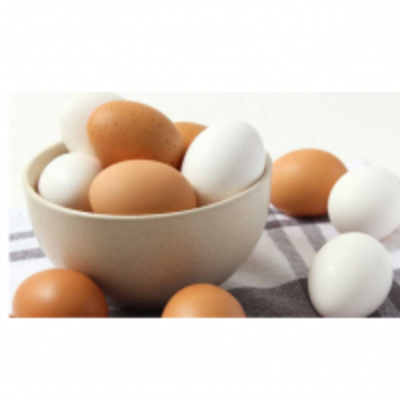 resources of Egg exporters