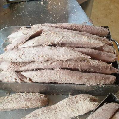 resources of Frozen Tuna Loin exporters