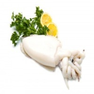 resources of Whole Clean Cuttlefish exporters