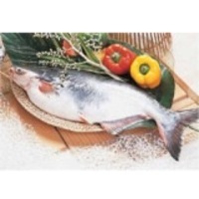 resources of Vietnam Catfish exporters