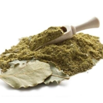 resources of Ground Bay Leaf exporters