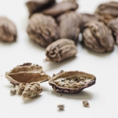 resources of Cardamom Black Whole exporters
