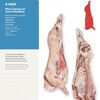 Primal Cut Or Beef Carcass Side Exporters, Wholesaler & Manufacturer | Globaltradeplaza.com