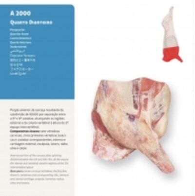 resources of Forequarter exporters