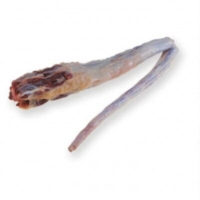 resources of Tail exporters