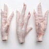 Chicken Paws 15 Kg Bulk Exporters, Wholesaler & Manufacturer | Globaltradeplaza.com