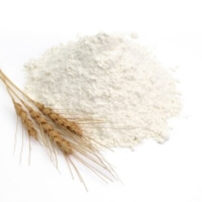 resources of High Quality Wheat Flour exporters