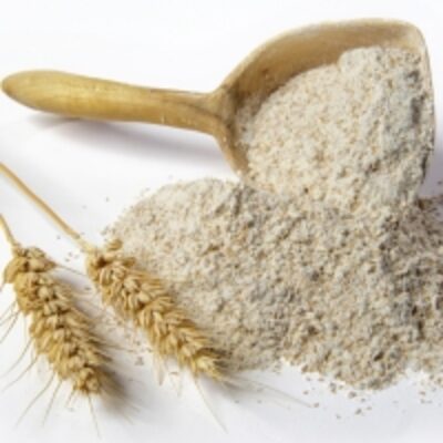 resources of Wheat Flour exporters
