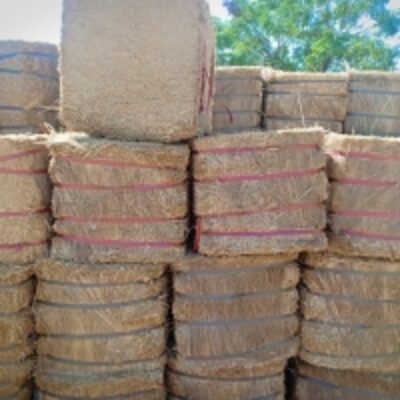 resources of Wheat Straw exporters