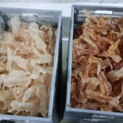 resources of Dried Fish Maw Ling Fish exporters