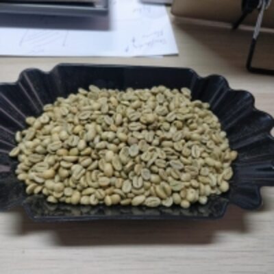 resources of Indonesia Arabica Flores Green Coffee Bean exporters