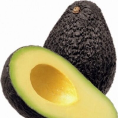 resources of Avocados exporters