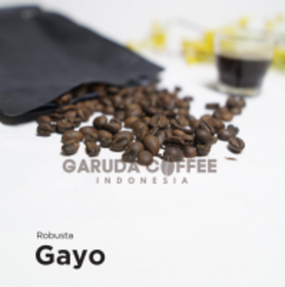 resources of Robusta Gayo Roast Beans High Quality exporters
