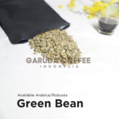 resources of Robusta Gayo Green Bean Coffee High Quality exporters